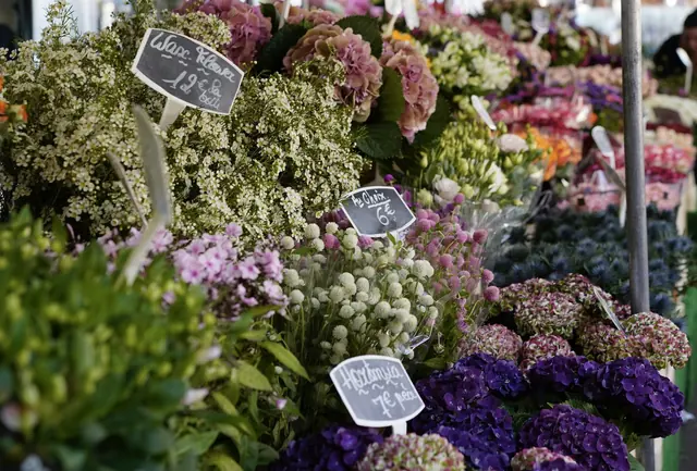 Étal de fleuriste avec hortensias et ardoises de prix